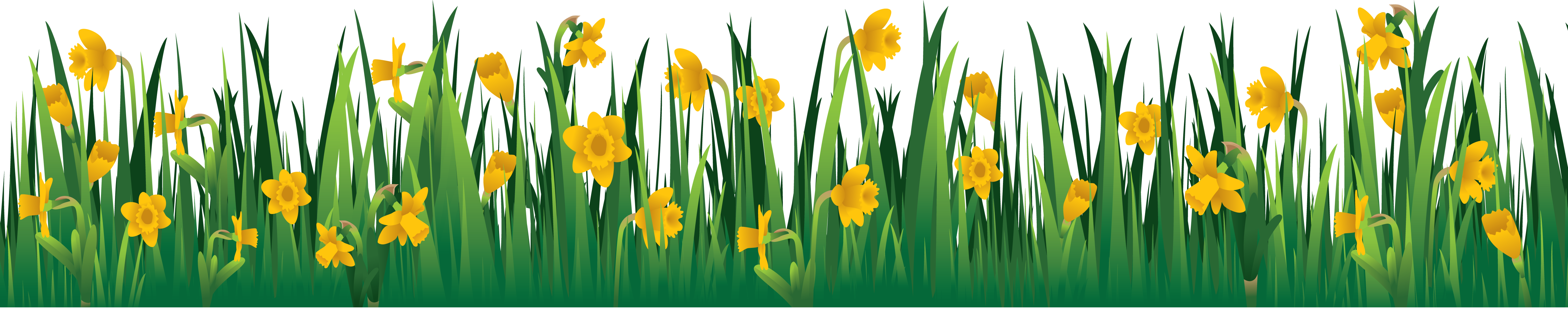 Grass PNG Images HD