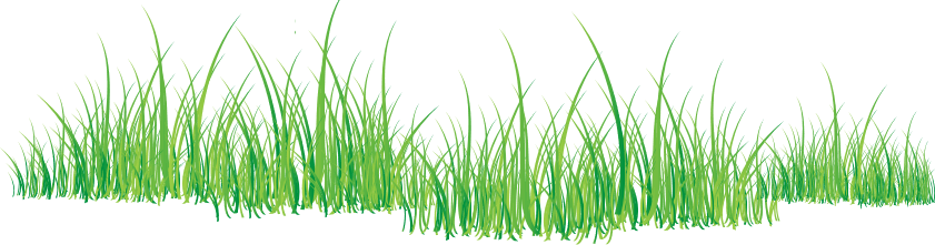 Grass PNG Pic Background