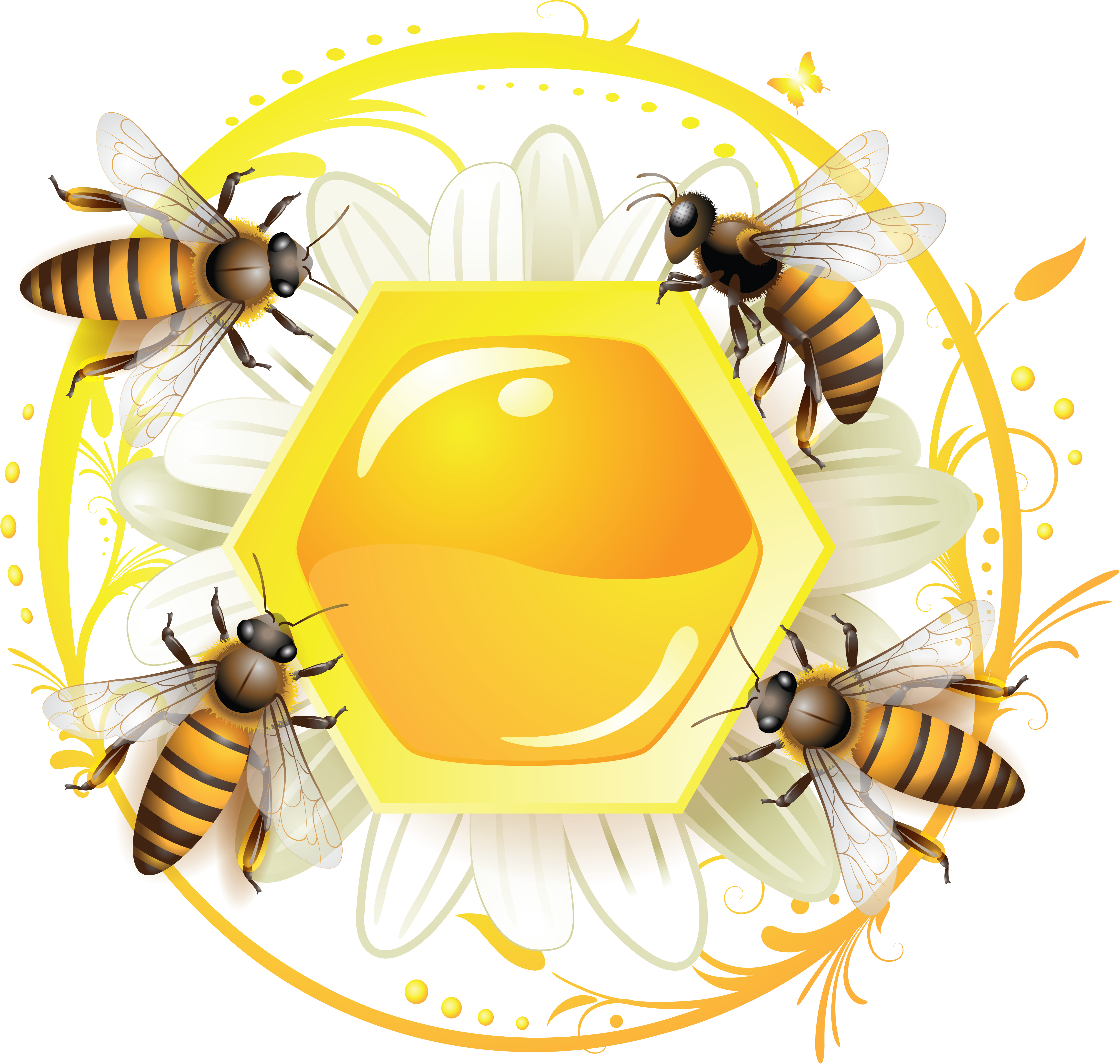 Honey PNG Background