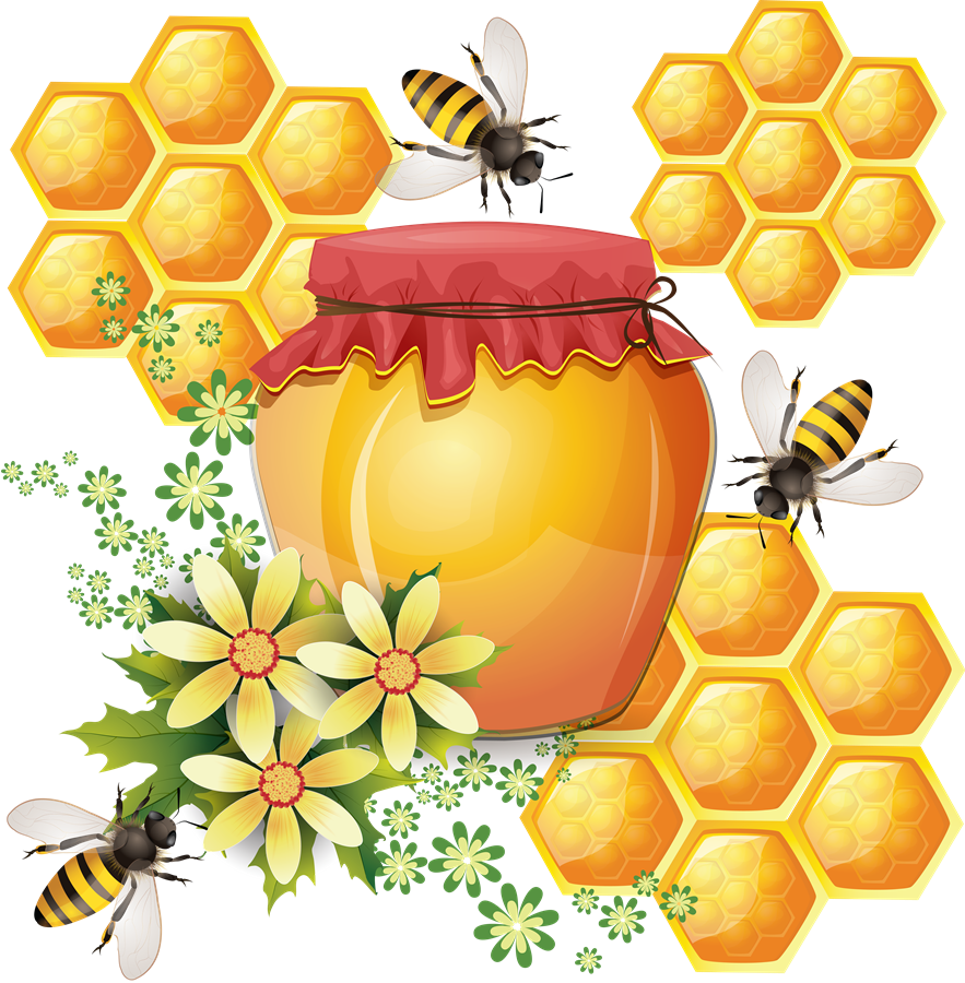 Honey Transparent Background