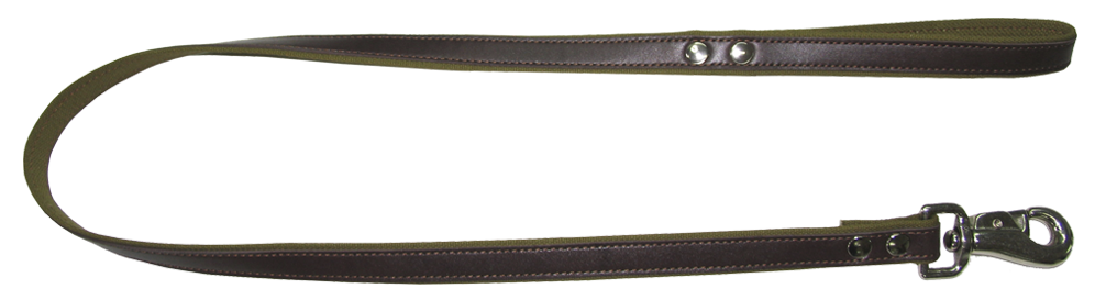 Leash PNG Background