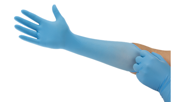Medical Gloves Transparent File