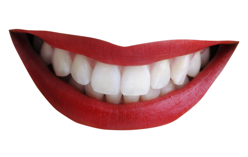 Mouth Smile Download Free PNG