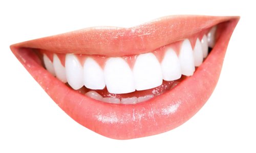 Mouth Smile Transparent PNG