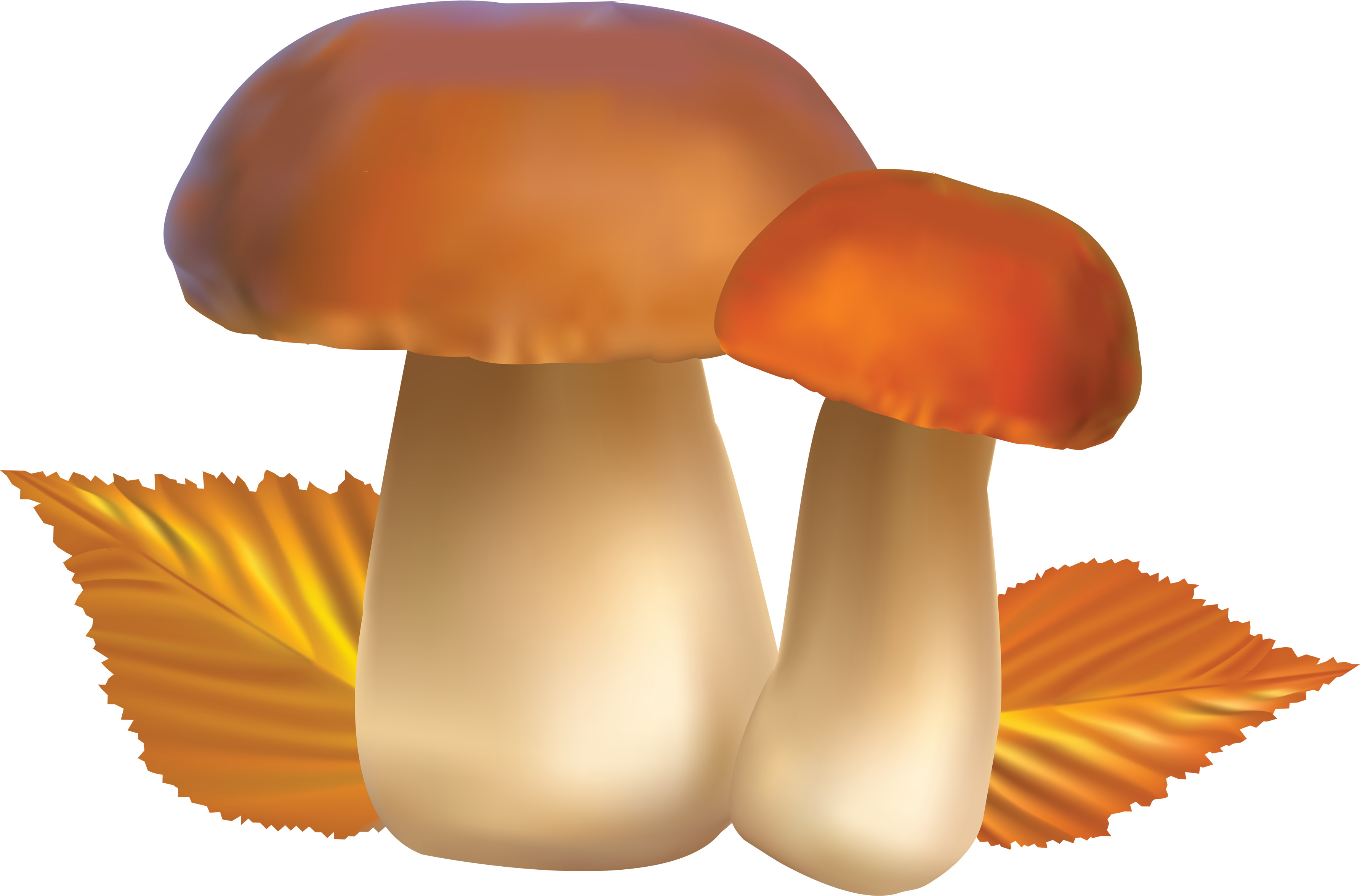 Mushroom PNG Photo Image