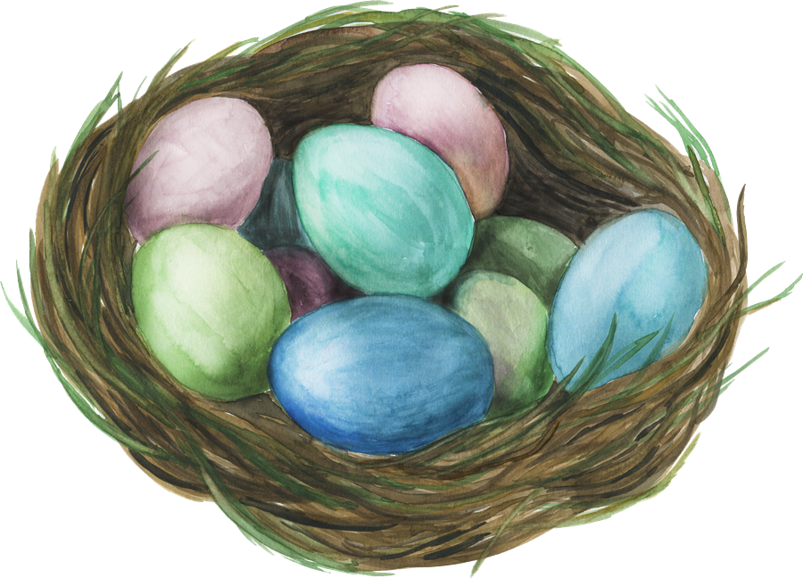 Nest Download Free PNG