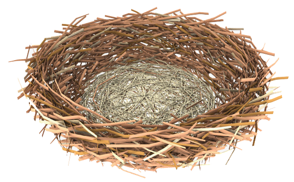 Nest PNG Pic Background