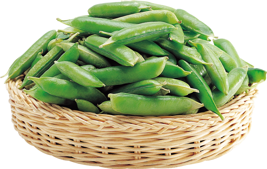 Pea Background PNG