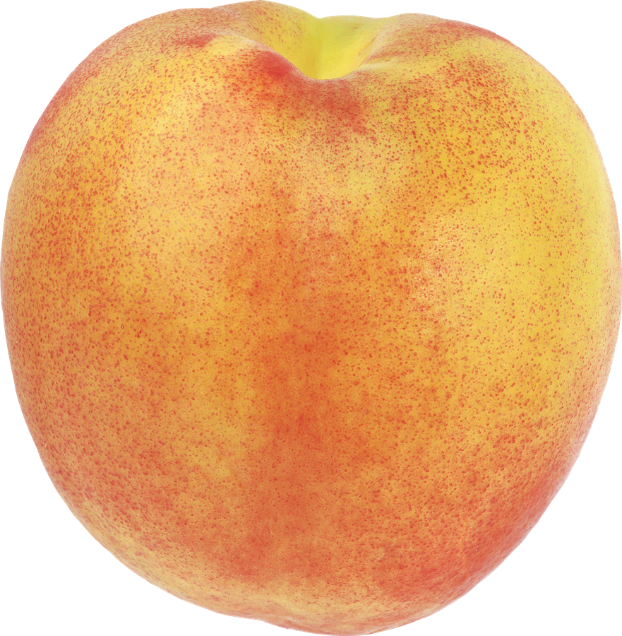 Peach Background PNG