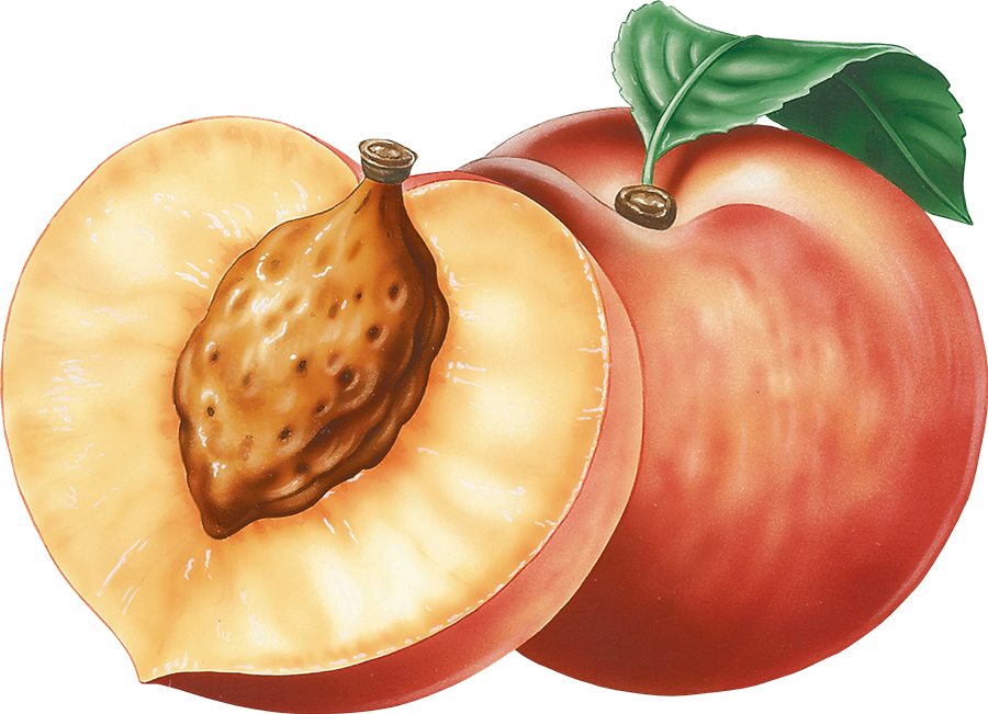 Peach Download Free PNG