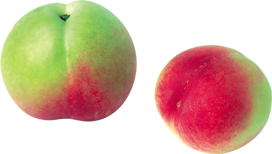 Peach PNG Photo Image