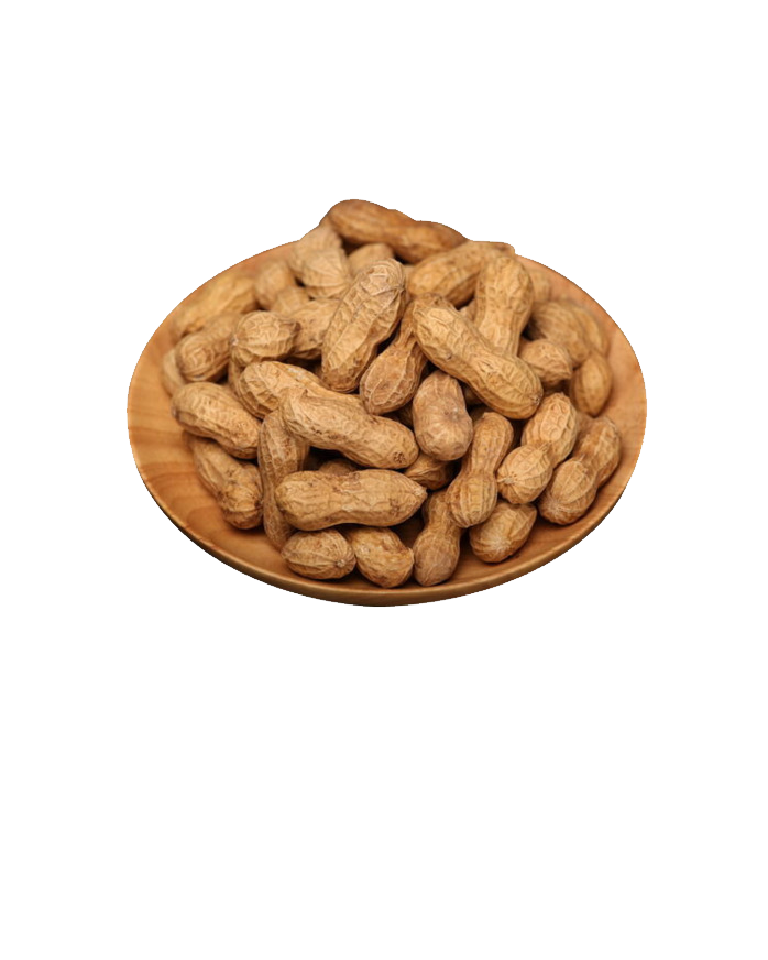 Peanut PNG Clipart Background
