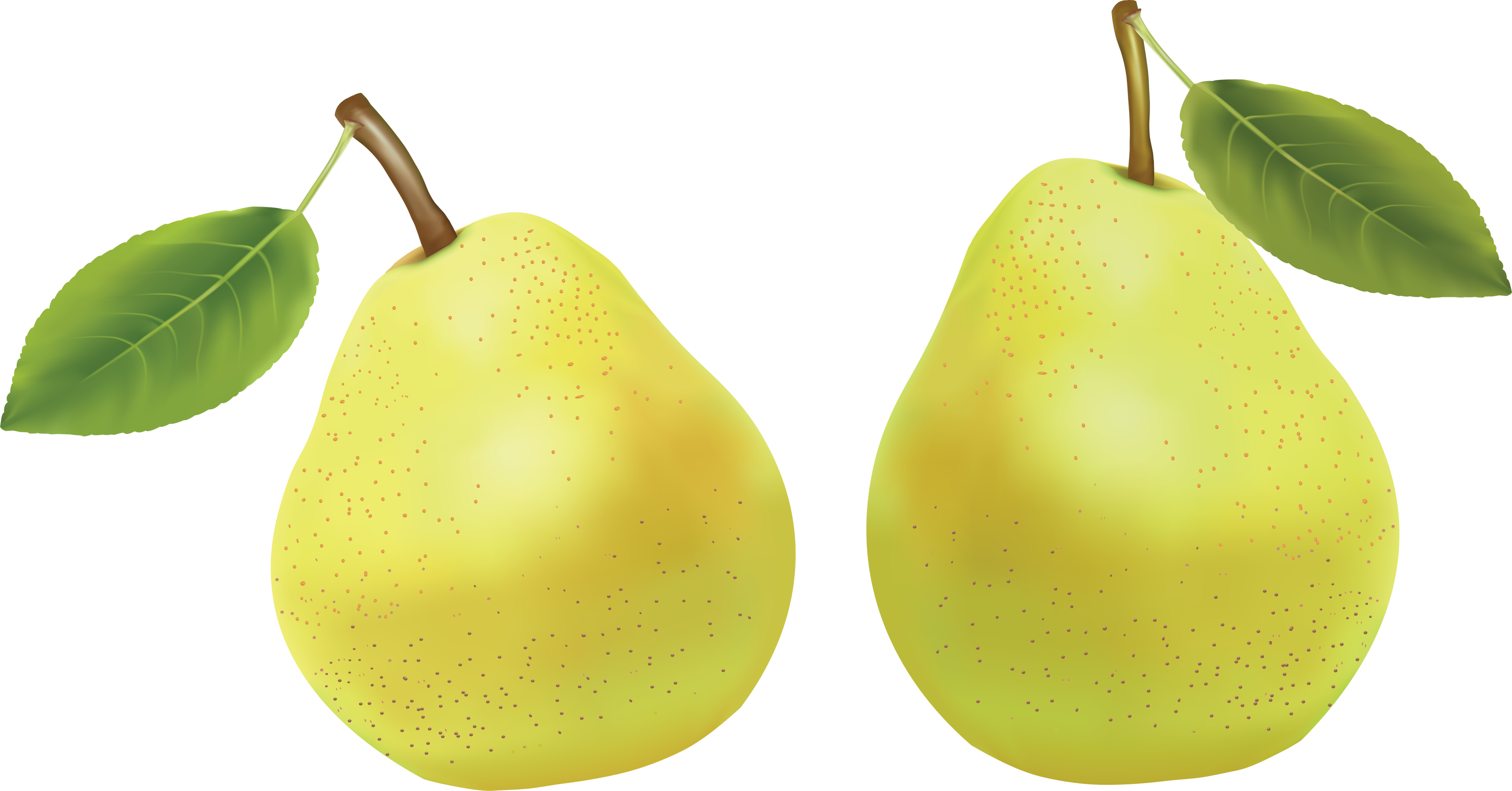 Pear Free PNG