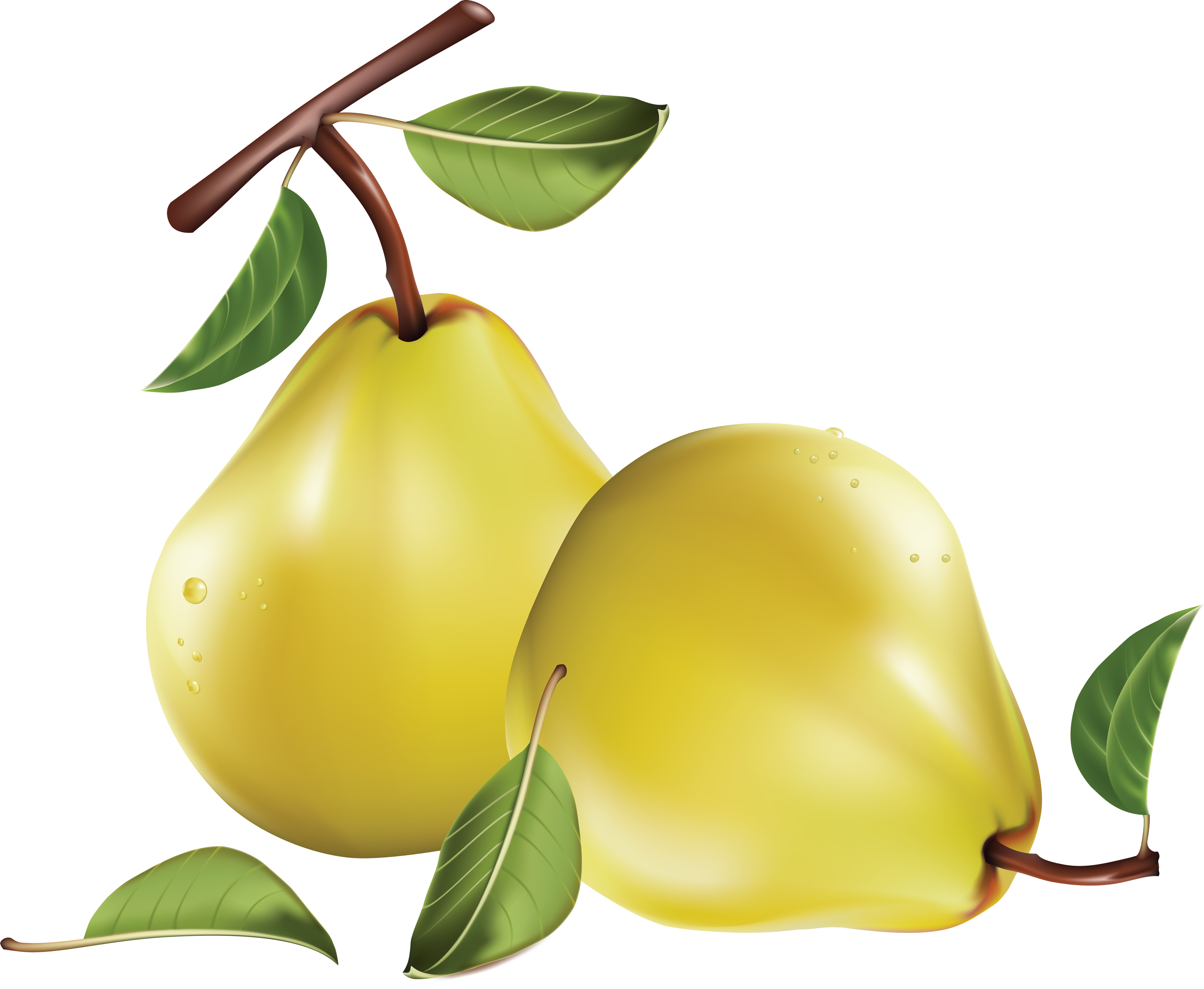 Pear No Background