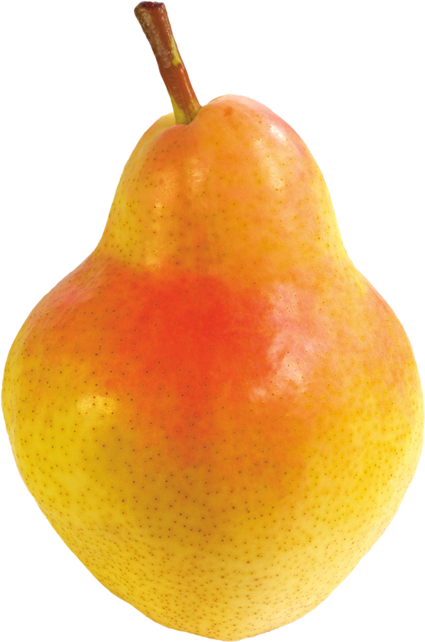 Pear PNG HD Quality