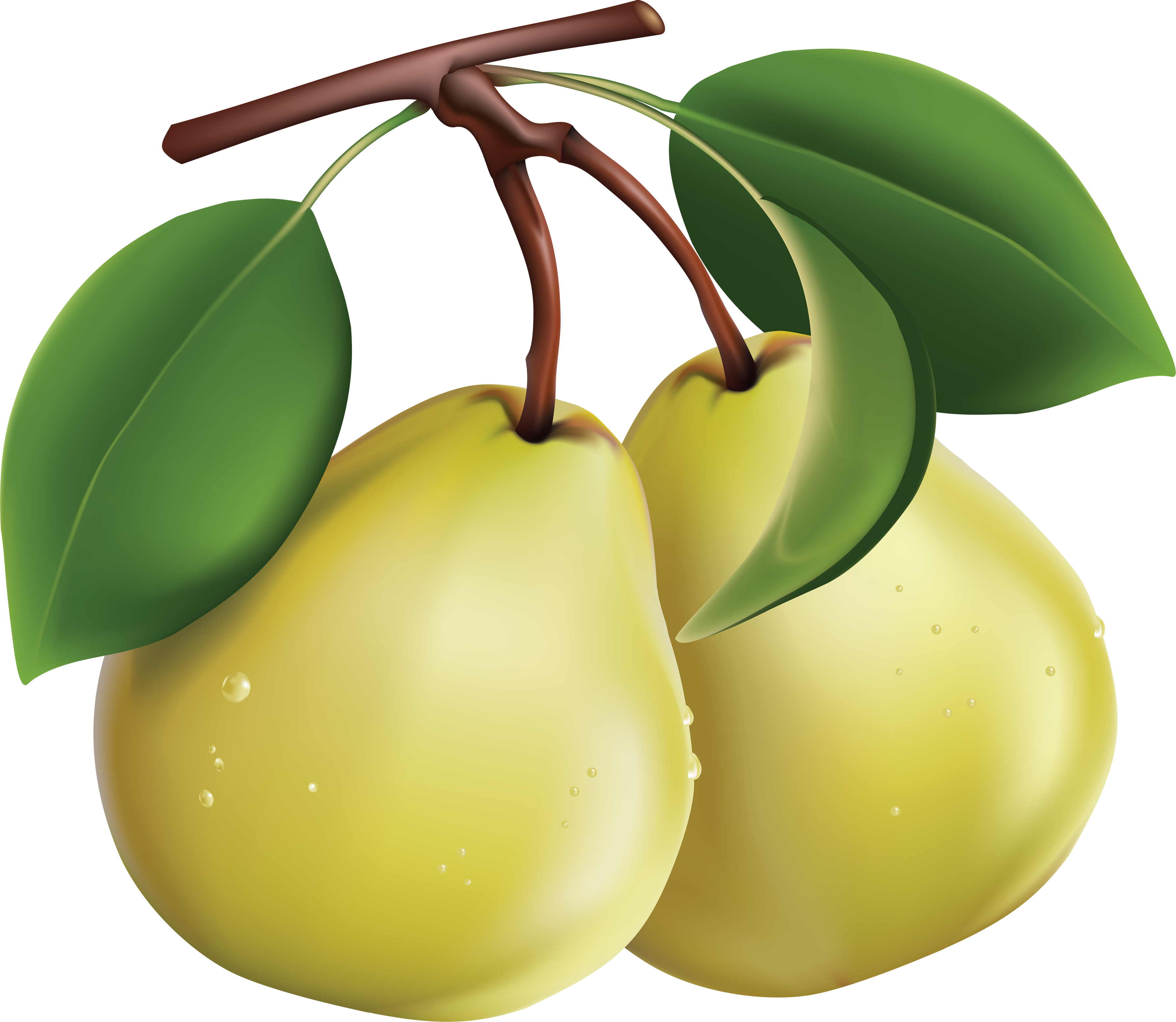 Pear Transparent Image