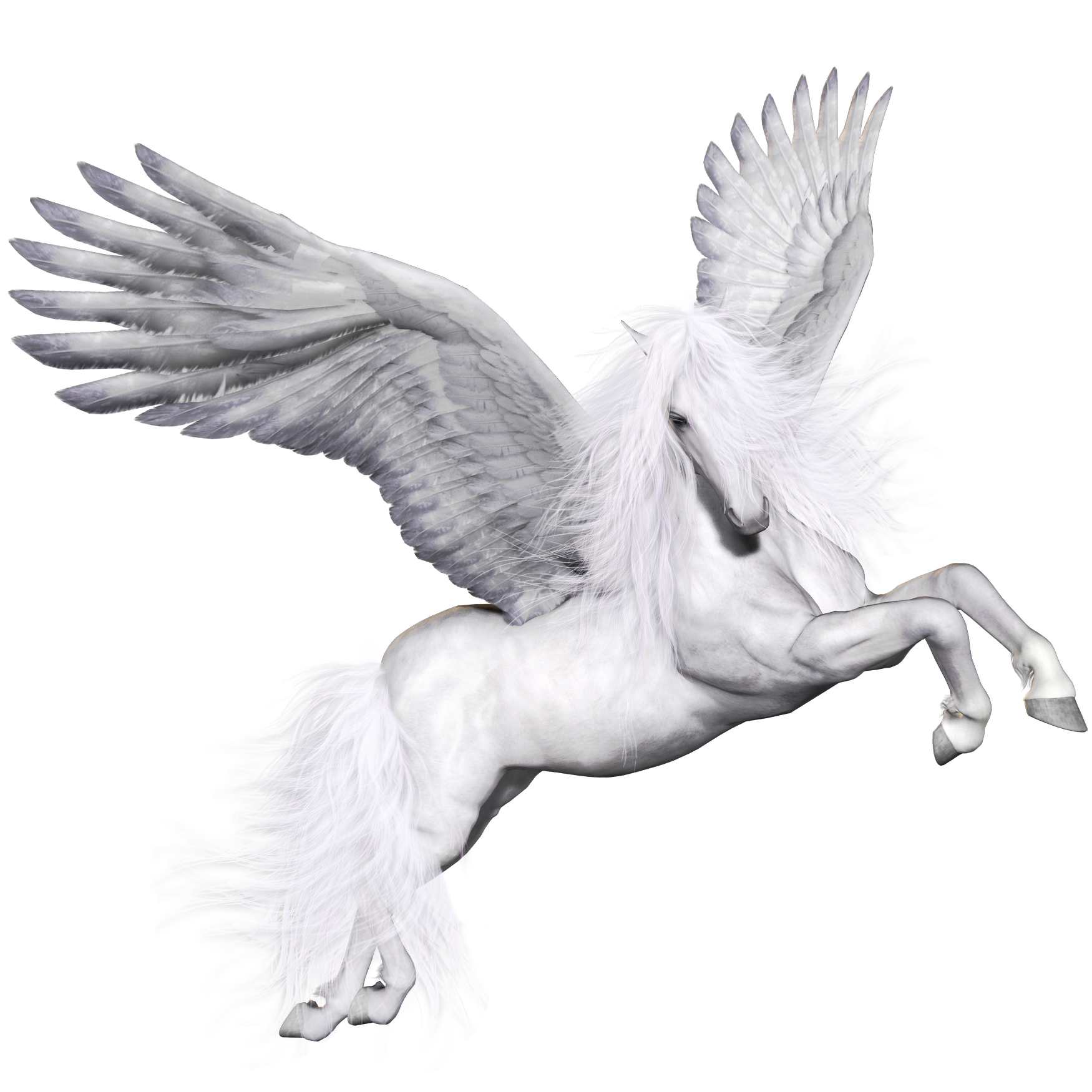 Pegasus خلفية PNG صورة