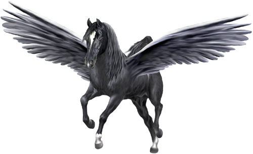 Pegasus ملف شفافة
