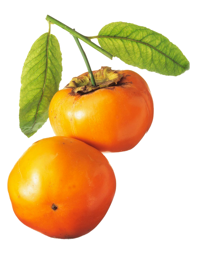 Persimmon PNG Clipart Background