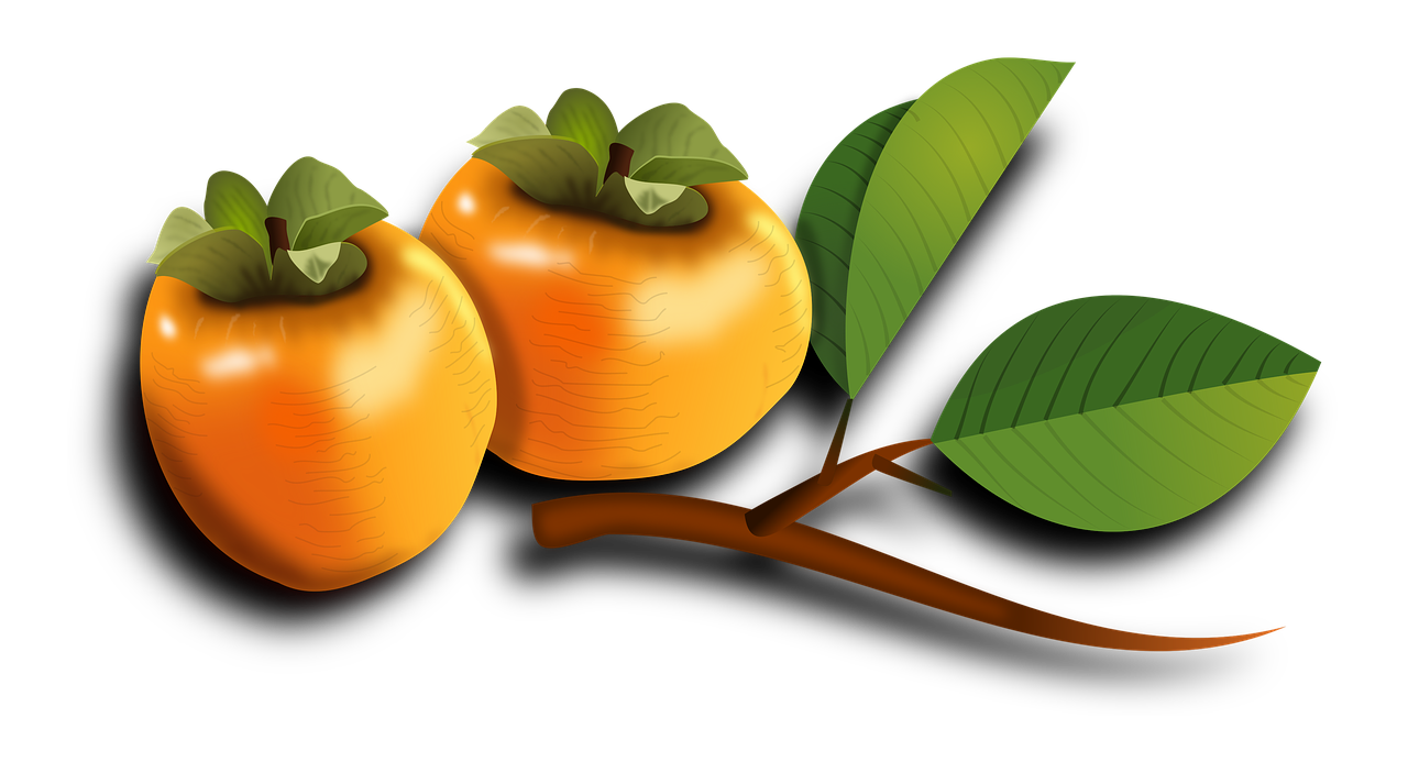 Persimmon PNG Photo Image