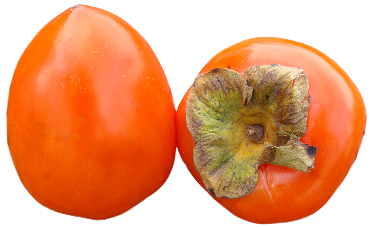 Persimmon PNG Pic Background