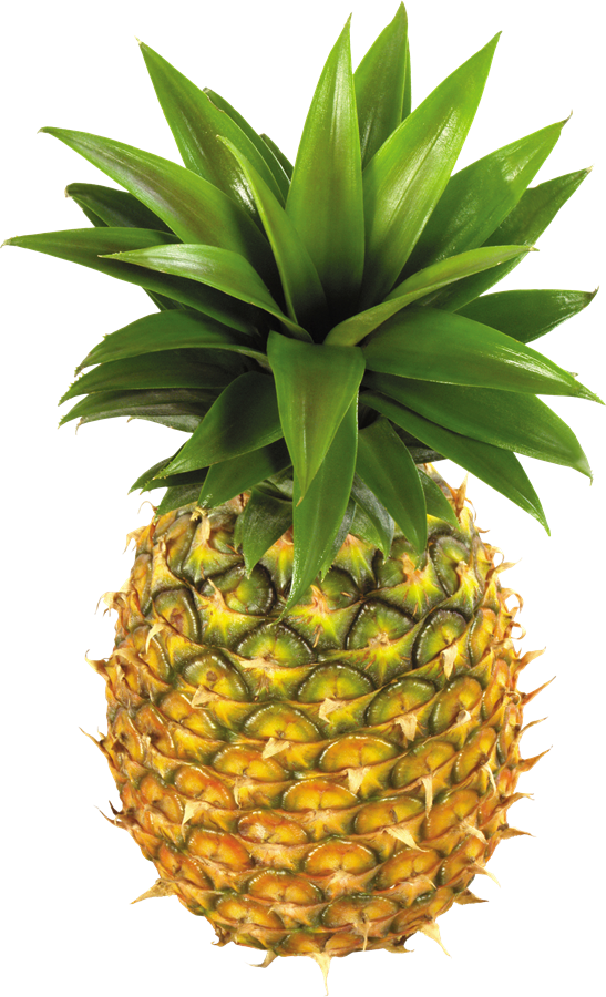 Pineapple Download Free PNG