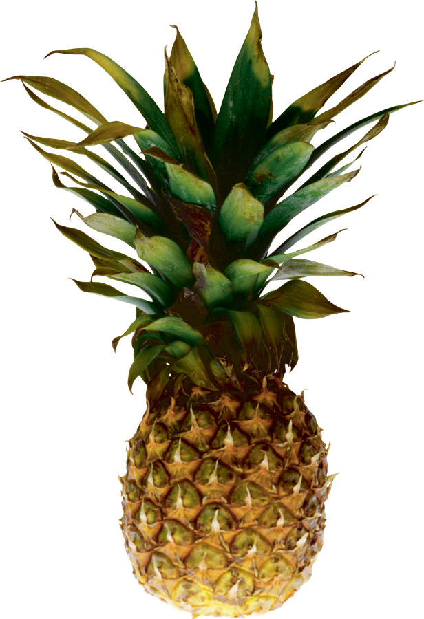 Pineapple PNG Photos