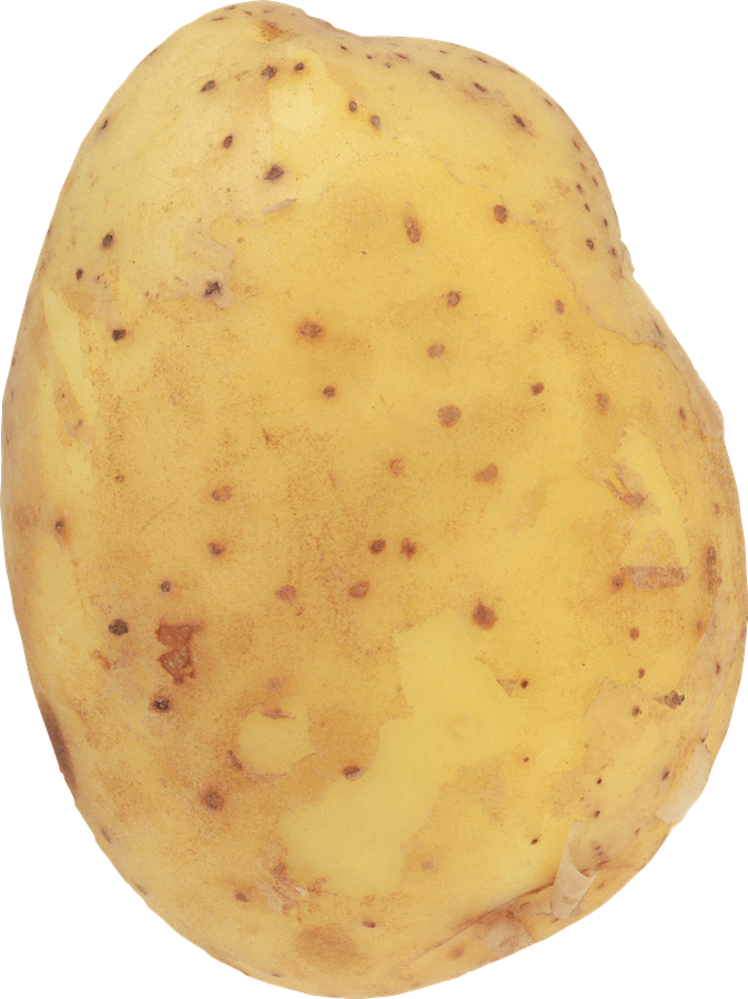 Potato Background PNG