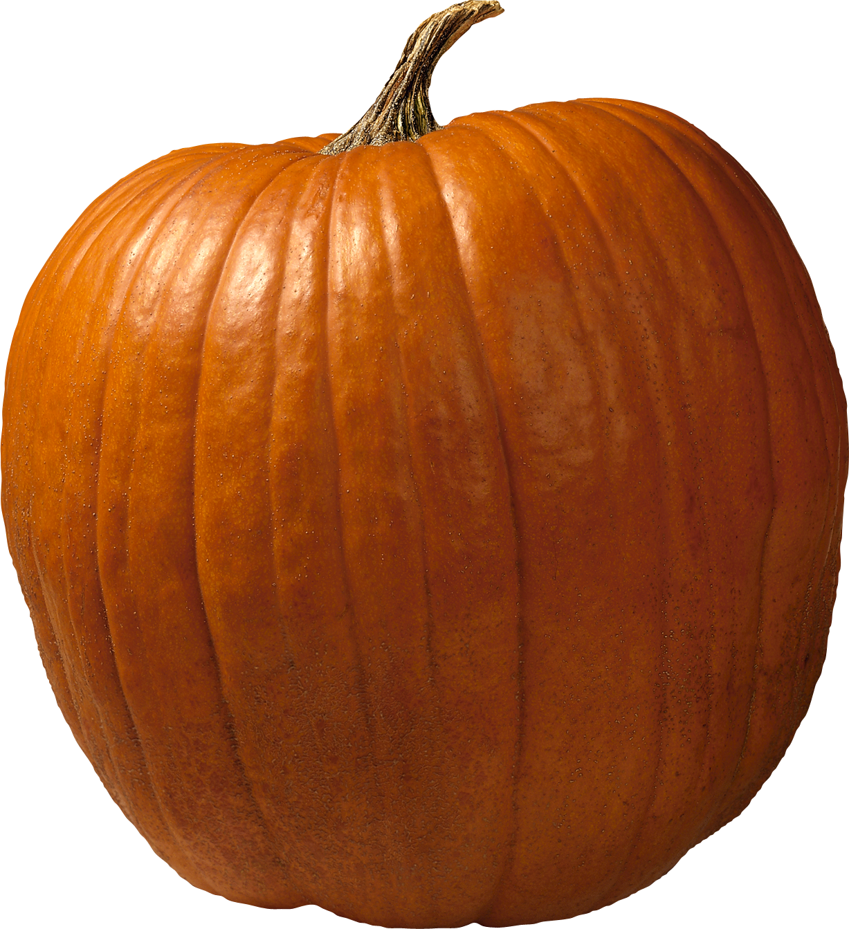 Pumpkin Transparent Free PNG