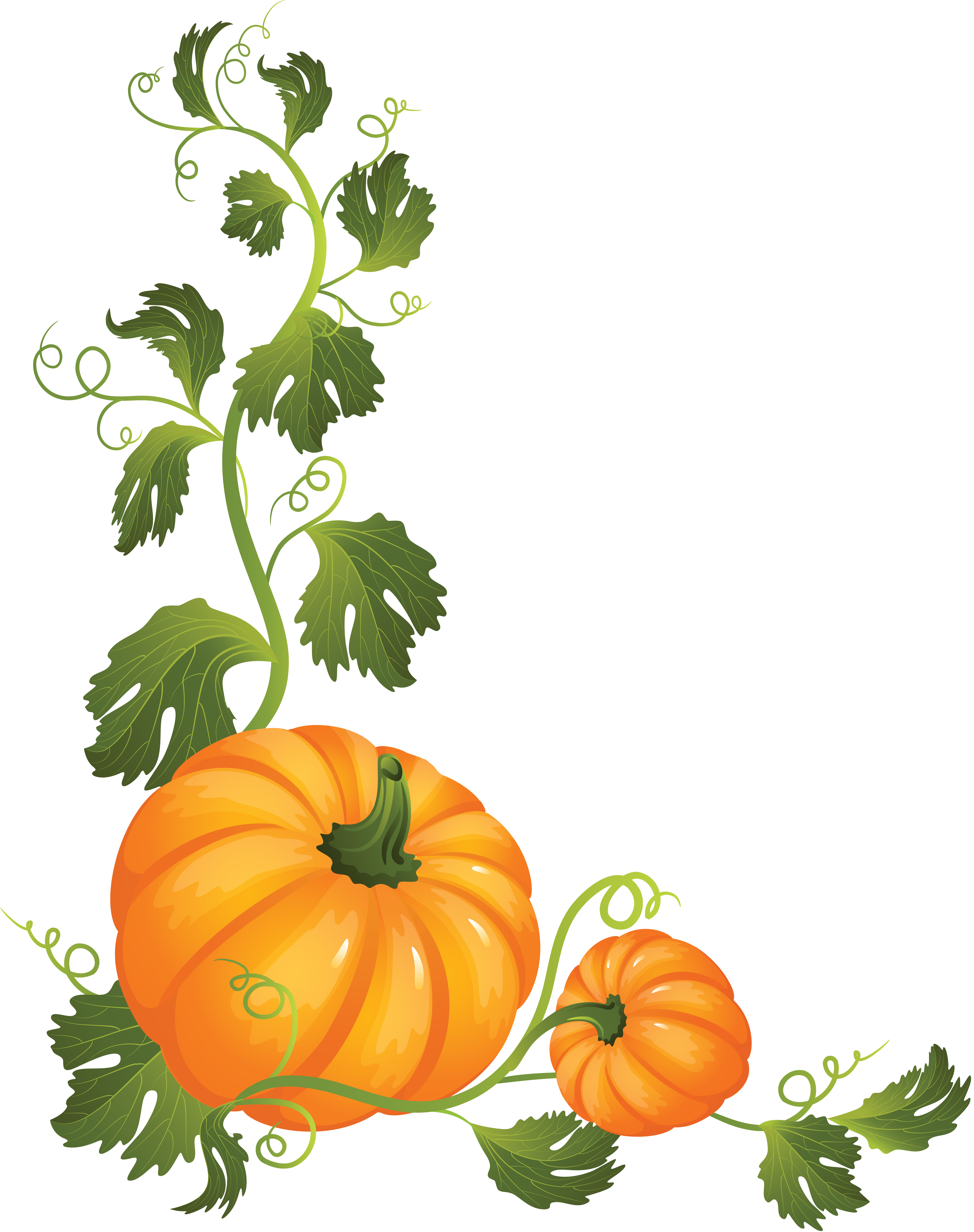 Pumpkin Transparent Image