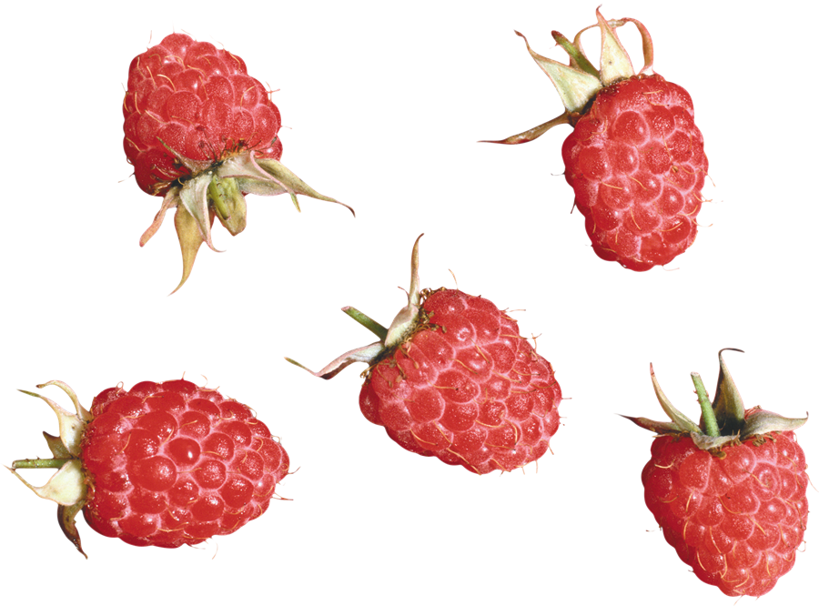 Raspberry Background PNG