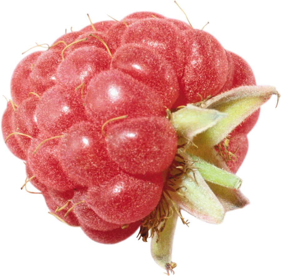Raspberry PNG Background