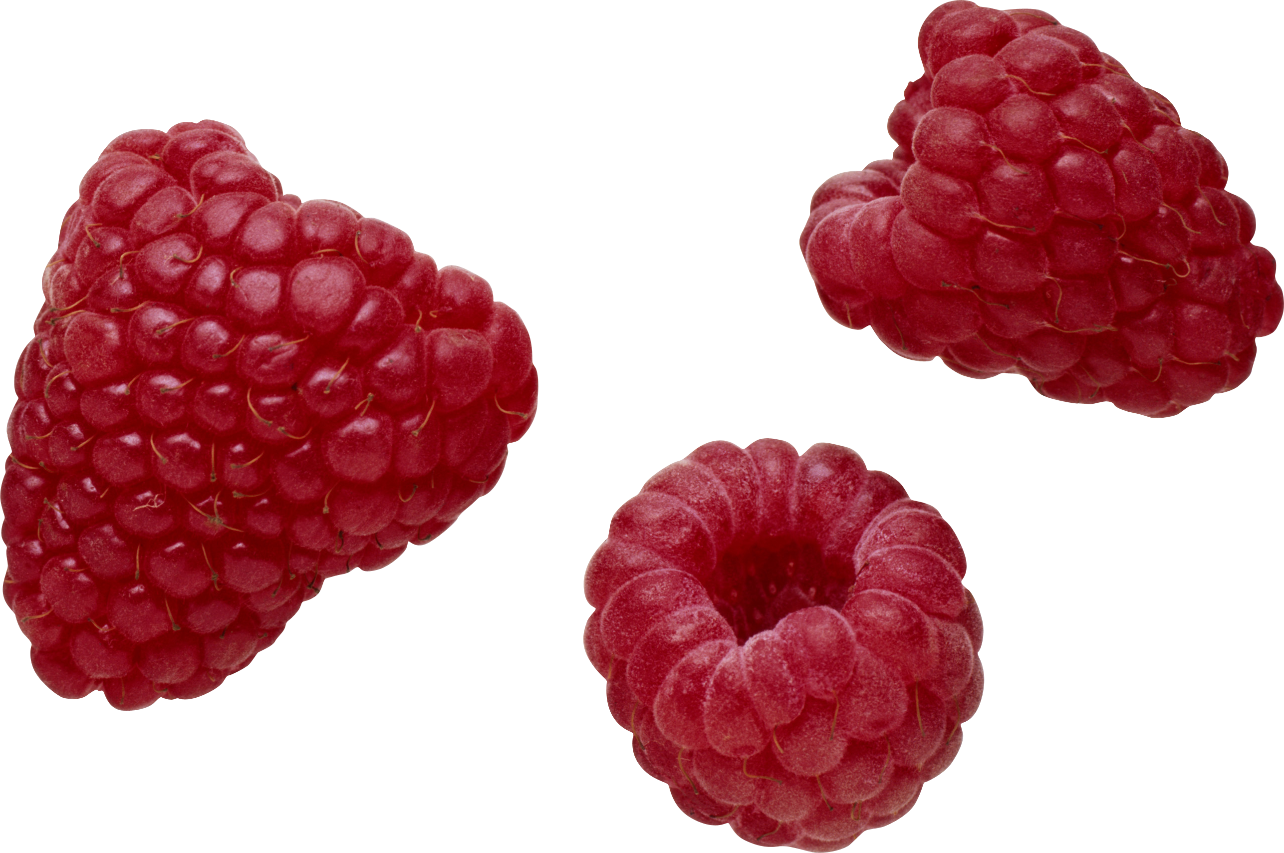 Raspberry PNG Clipart Background