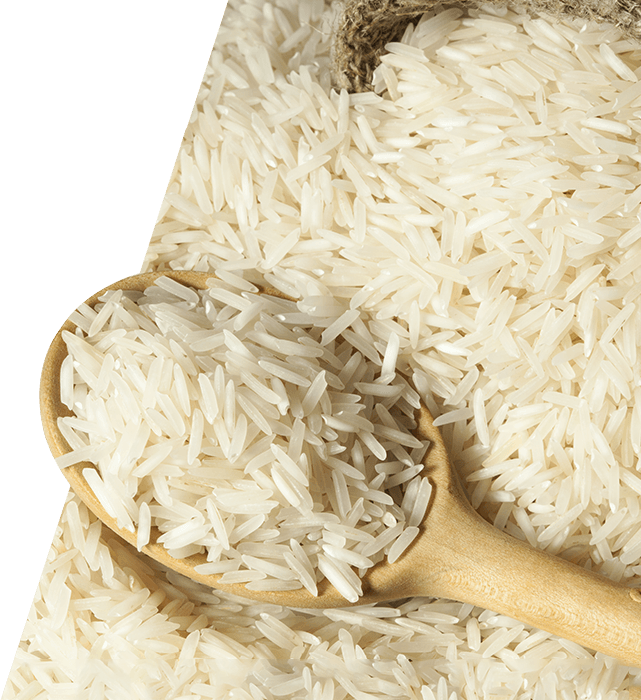 Rice No Background