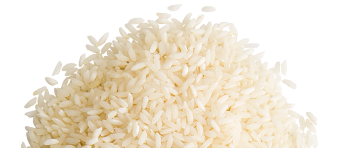 Rice PNG Free File Download