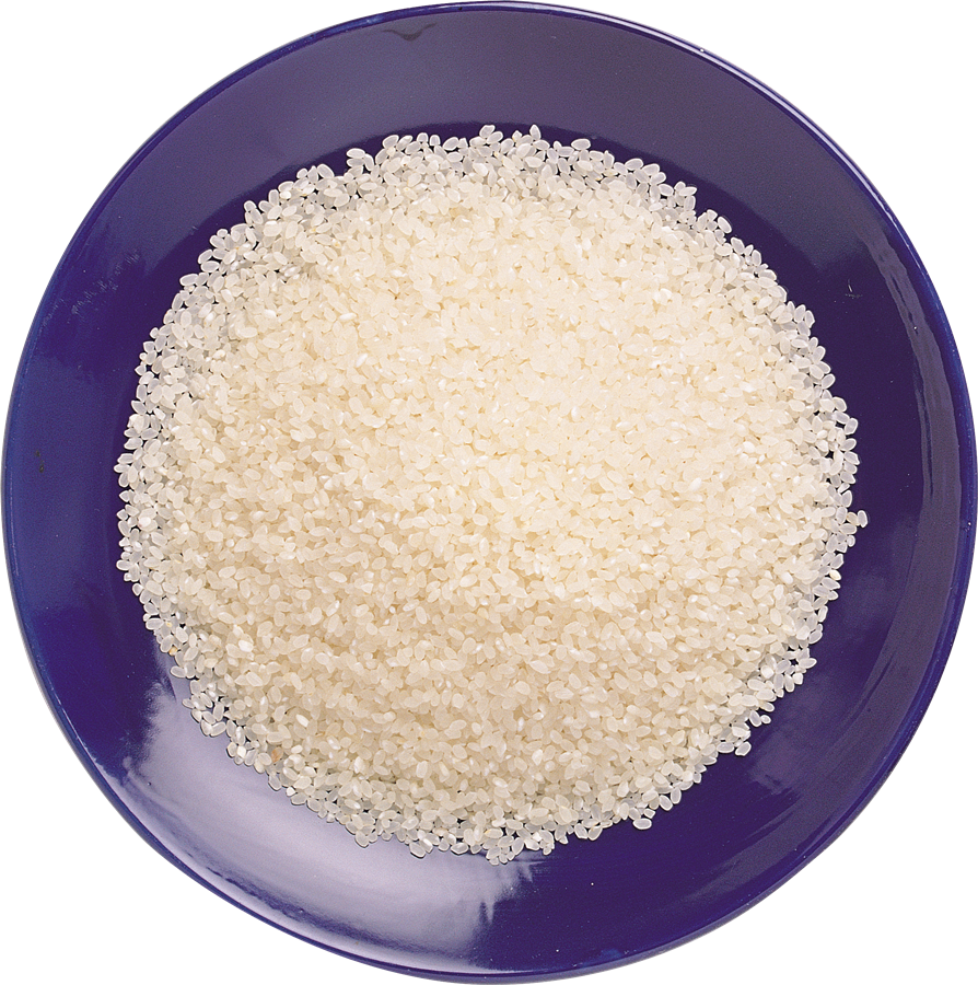 Rice PNG HD Quality