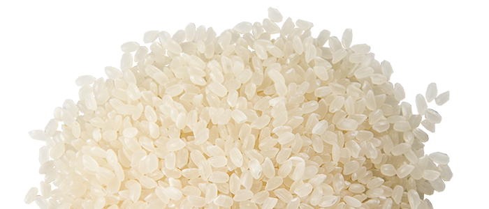 Rice Transparent Images