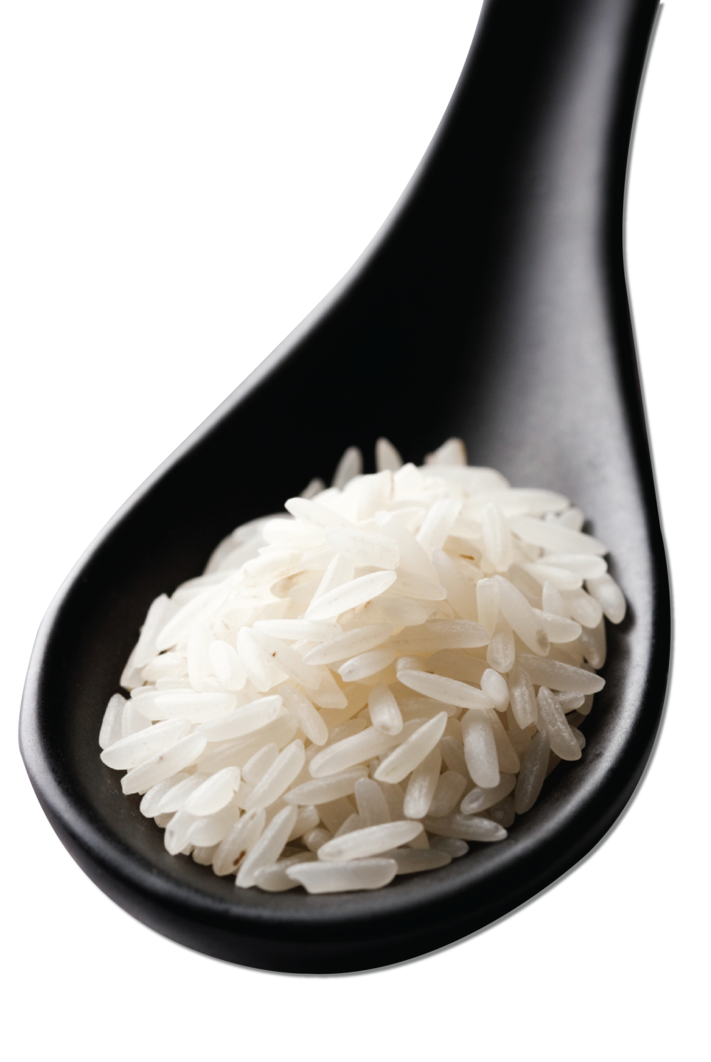 Rice Transparent PNG