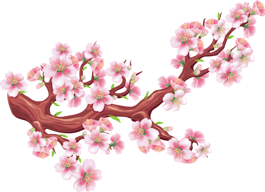 Sakura PNG Clipart Background