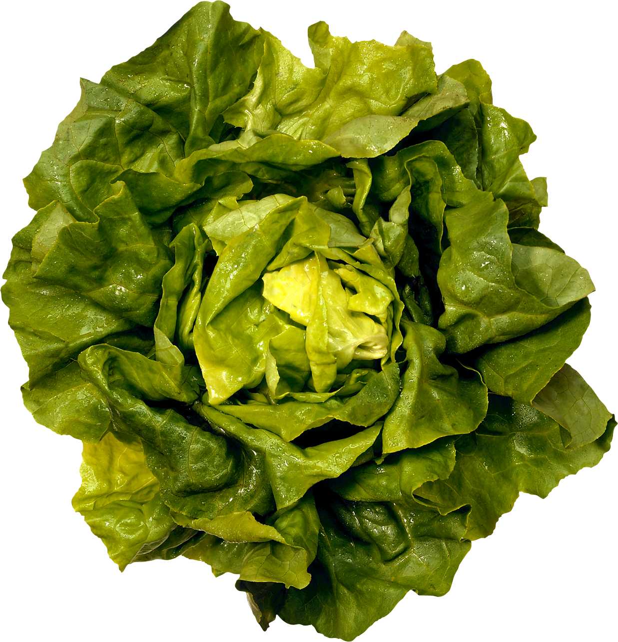Salad PNG Photo Image