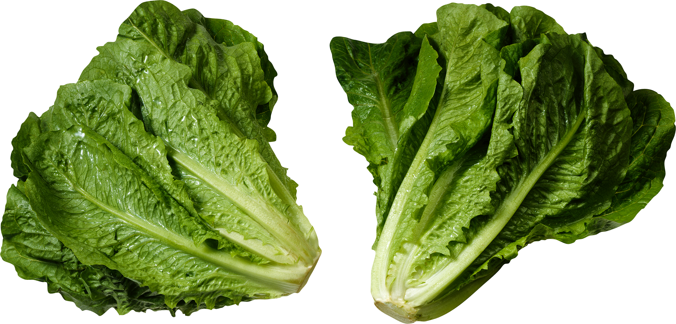 Salad PNG Pic Background