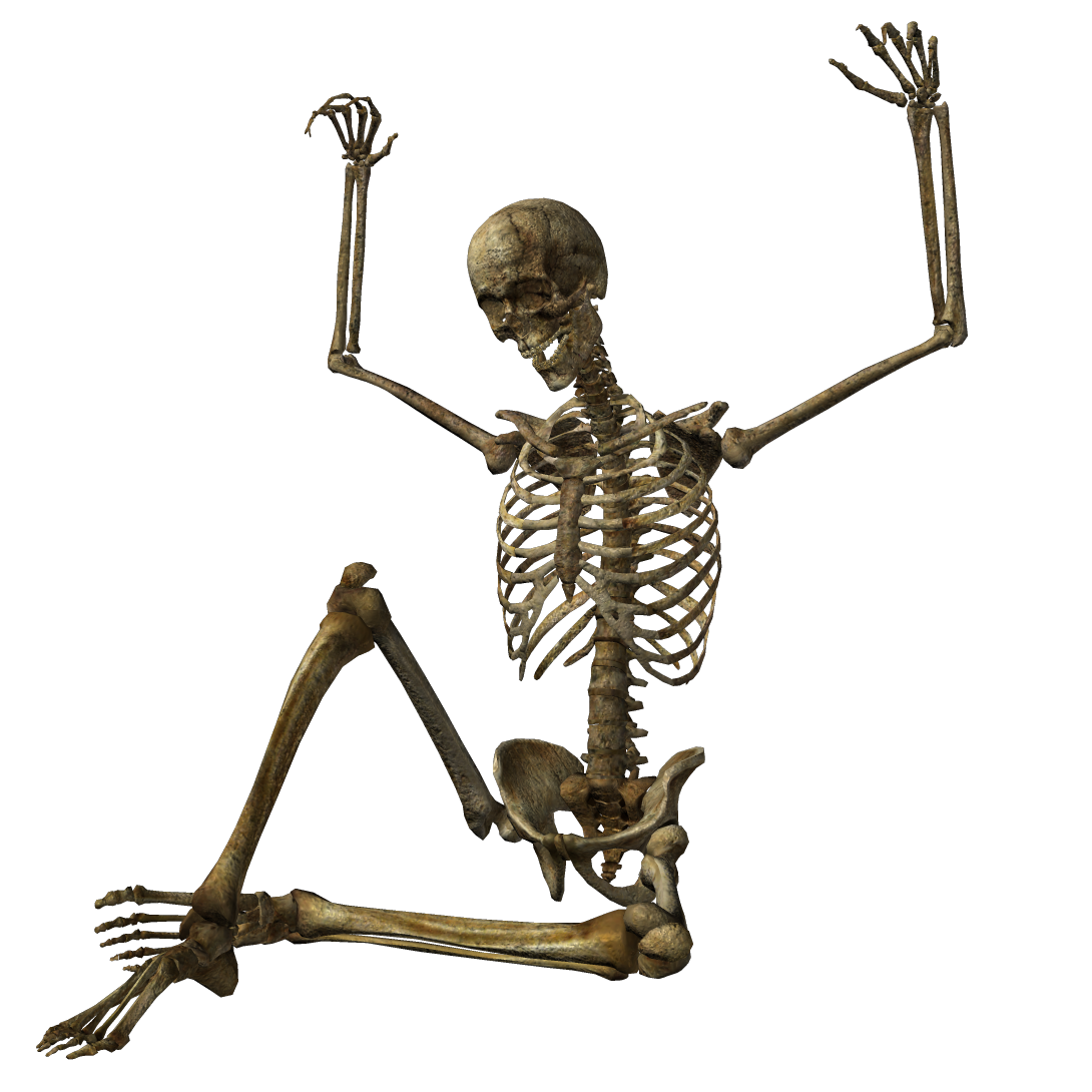 Skeleton Background PNG Image