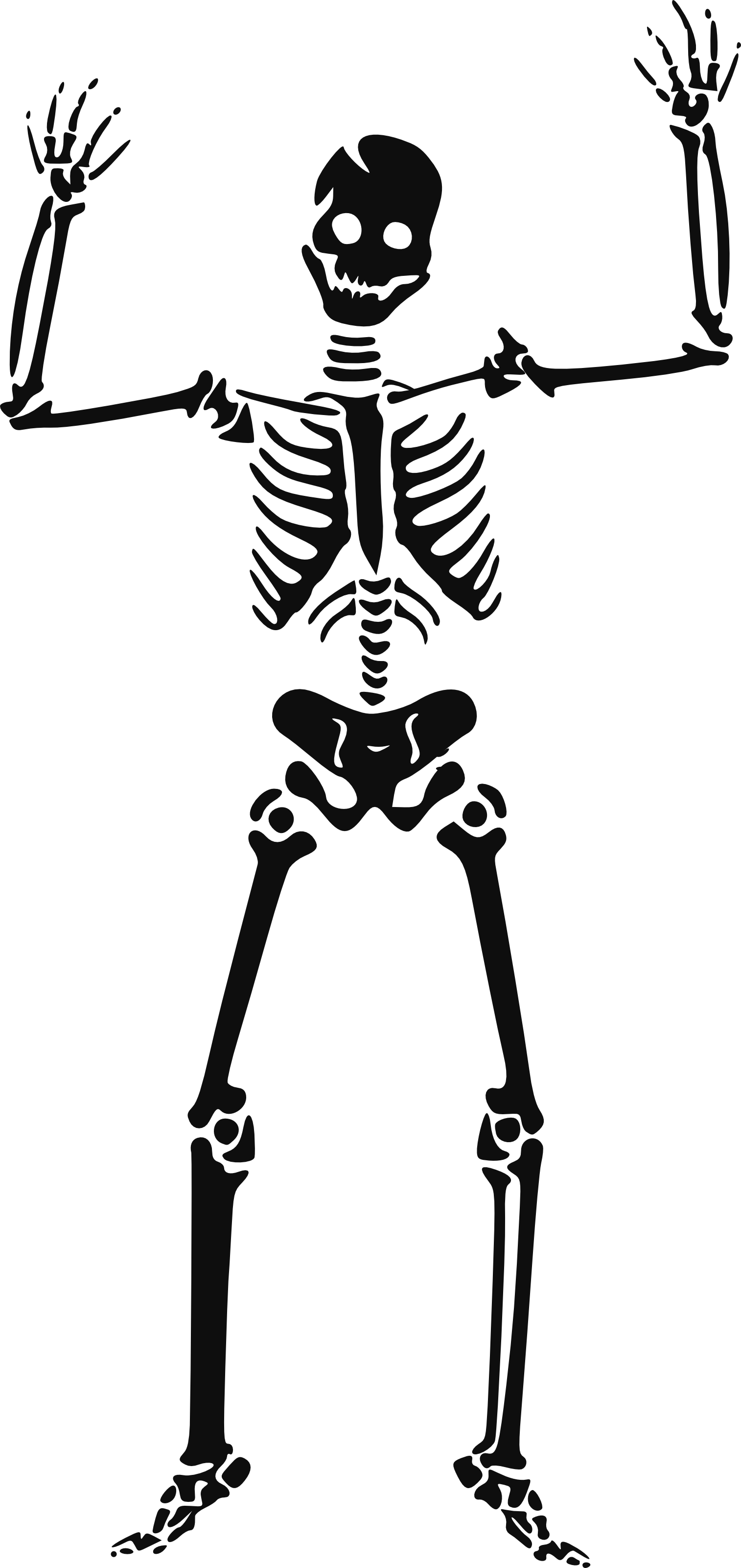 Skeleton PNG Background