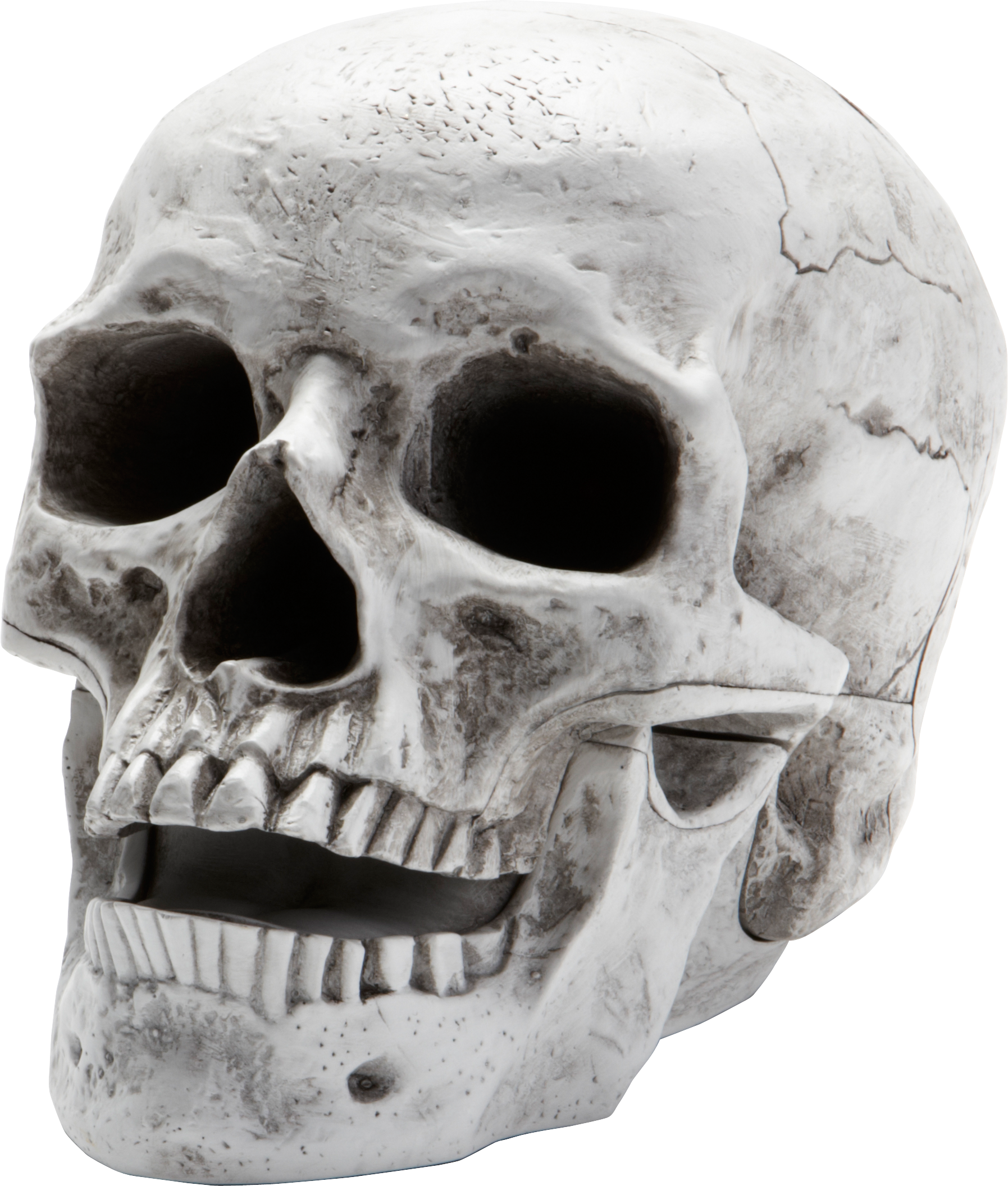 Skeleton PNG Clipart Background