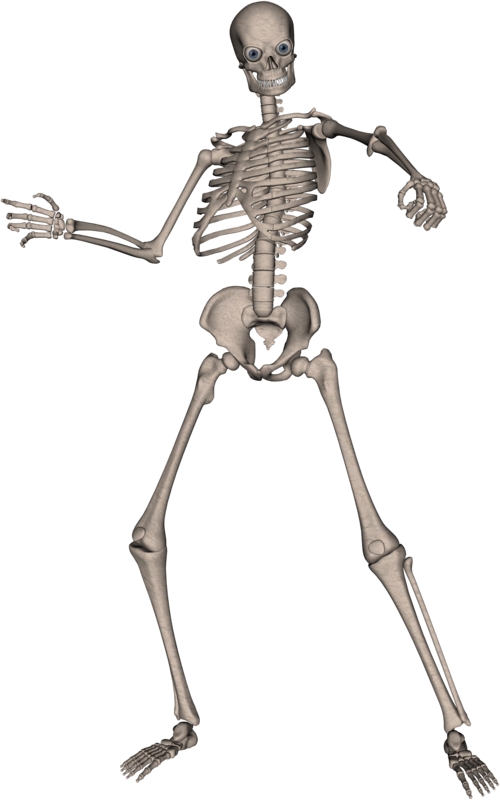 Skeleton PNG HD Quality