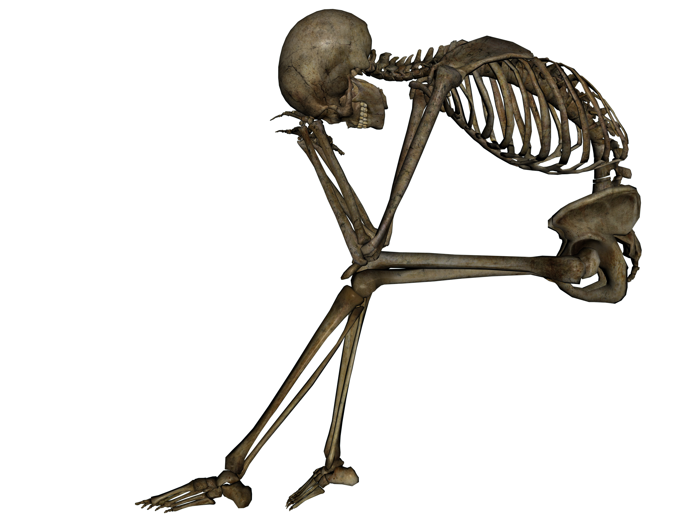 Skeleton Transparent Free PNG