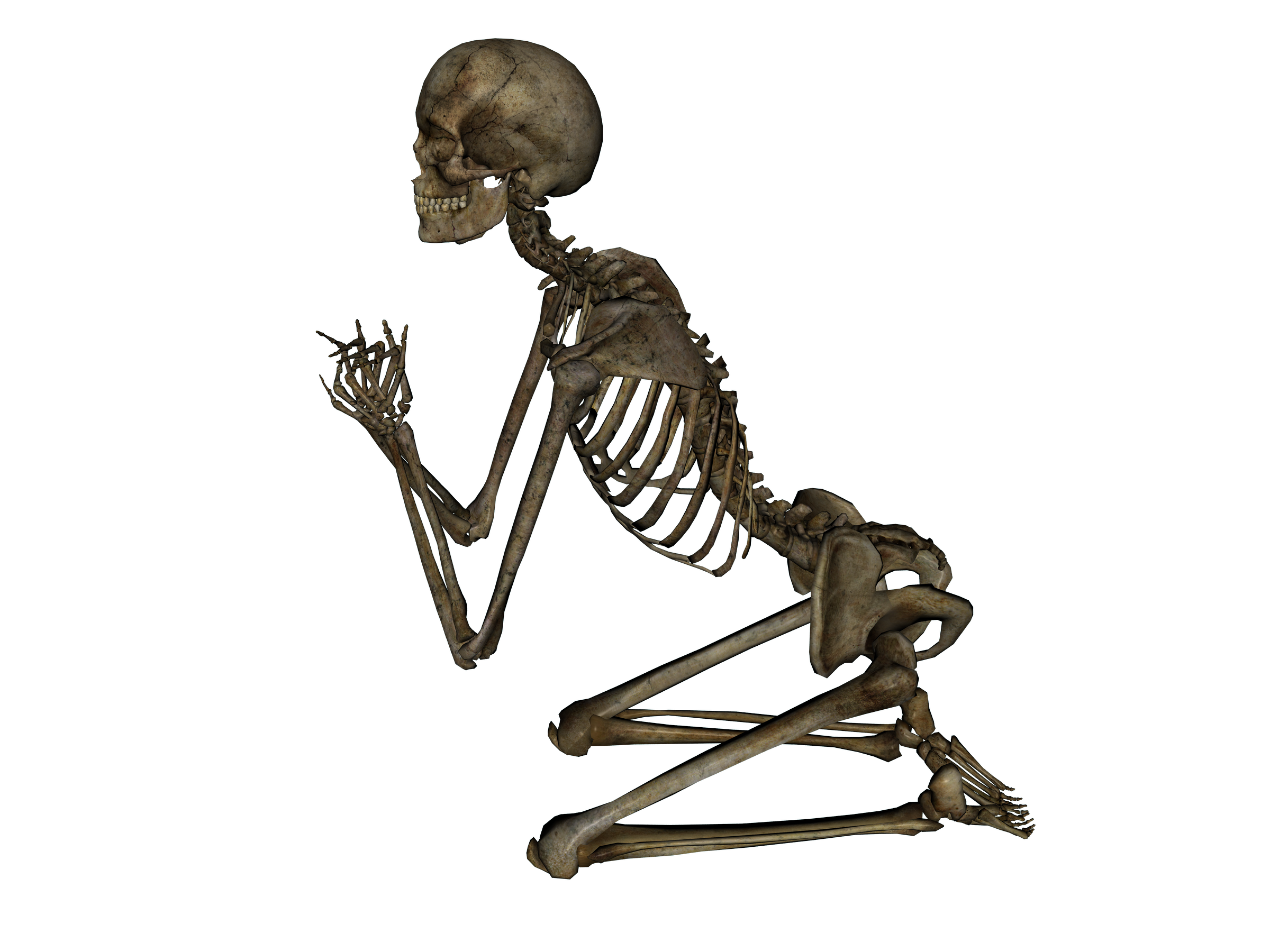 Skeleton Transparent PNG