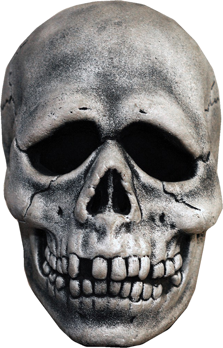 Skull Transparent Free PNG