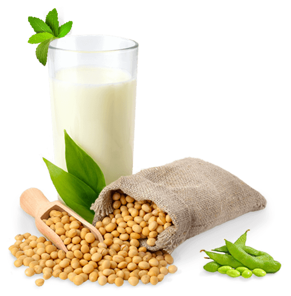 Soybean Background PNG Image
