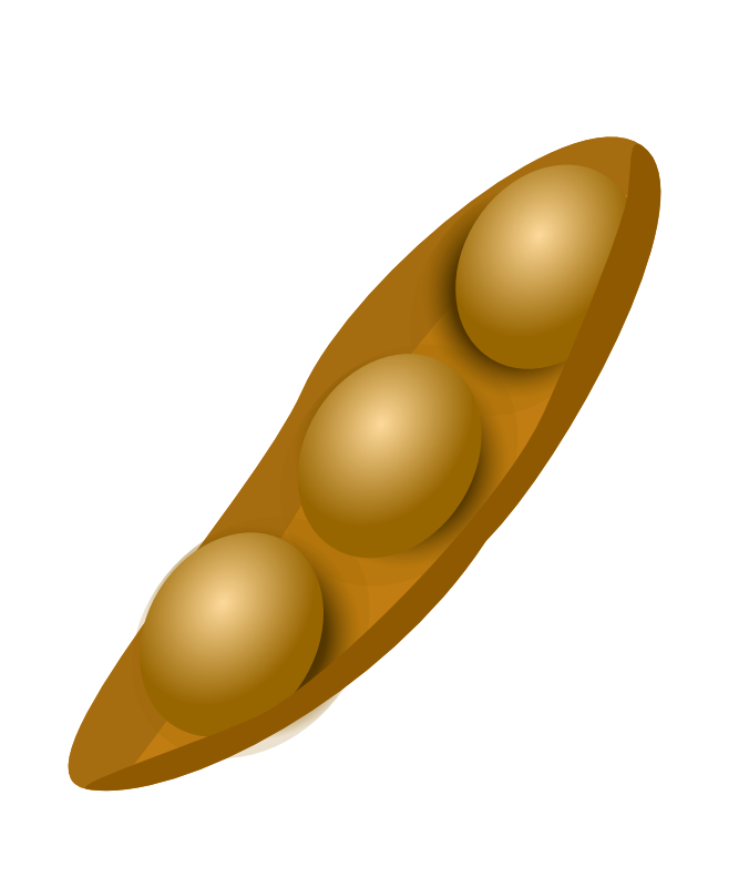 Soybean PNG Images HD